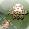 Rescue Dog