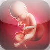 myBaby3d HD