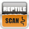 Reptile Scan