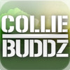 Collie Buddz