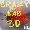 Crazy Labyrinth 3D HD