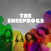 The Sheepdogs