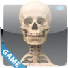 Skeletal Anatomy Game