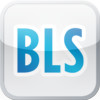 Build Lasting Success (BLS)