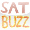 SAT Buzz Lite Flash Cards