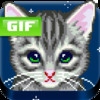 Cat Gif Texter