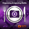 Course For Media Composer 6 101 - Organizing and Ingesting Media