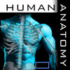 Human Body Encyclopedia D