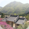 Beauty of Korea