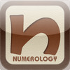 NUMEROLOGY - The Pocket Numerologist - Name and Birthday Meaning with Predictions