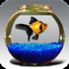 Goldfish Aquarium