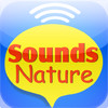 Sounds Natural: Work HD