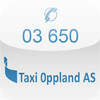 Taxi Oppland