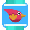 Pocket Bird : The Adventure of a Tiny Funny Bird