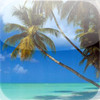 Tropic Dreams Wallpapers